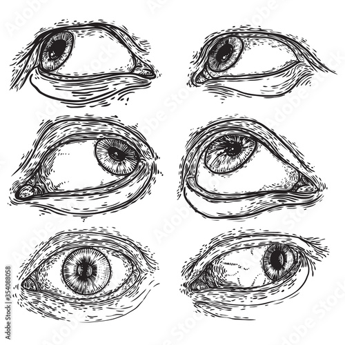 Set of human eyes for design of all seeing eye symbols variations. Alchemy, religion spirituality and occultism tattoo ink art collection. providence and third eye. Hand drawing artwork. Vector.