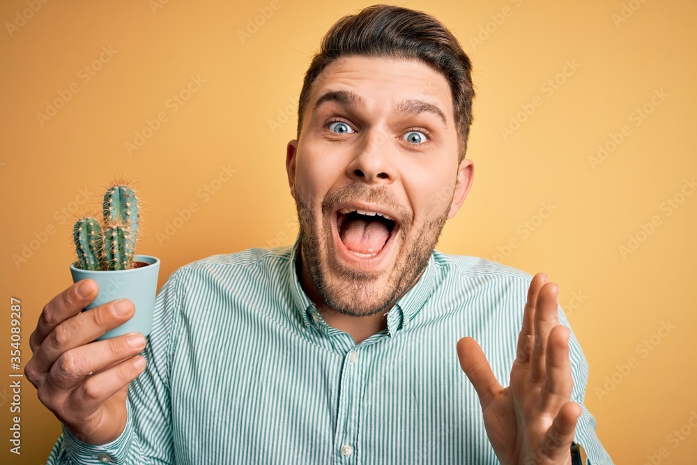 Young man with blue eyes holding fresh cactus plant pot over yellow background screaming proud and celebrating victory and success very excited, cheering emotion Young man with blue eyes holding fresh cactus plant pot over yellow background screaming proud and celebrating victory and success very excited, cheering emotion
