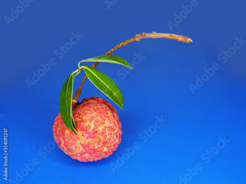 Fresh lychee Thai fruit and grest tast sweet and sour photo