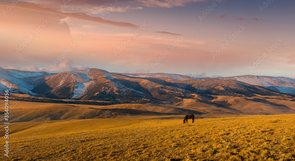 Horses at mountain meadows, Kazakhstan, plateau Assy near Almaty - obrazy, fototapety, plakaty 