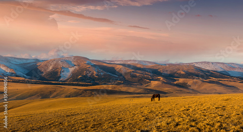 Horses at mountain meadows, Kazakhstan, plateau Assy near Almaty