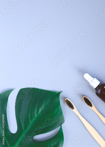 The concept of zero waste. bamboo toothbrush, monstera leaf photo