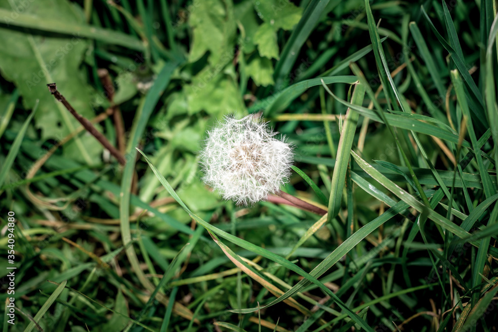 Natur Natur