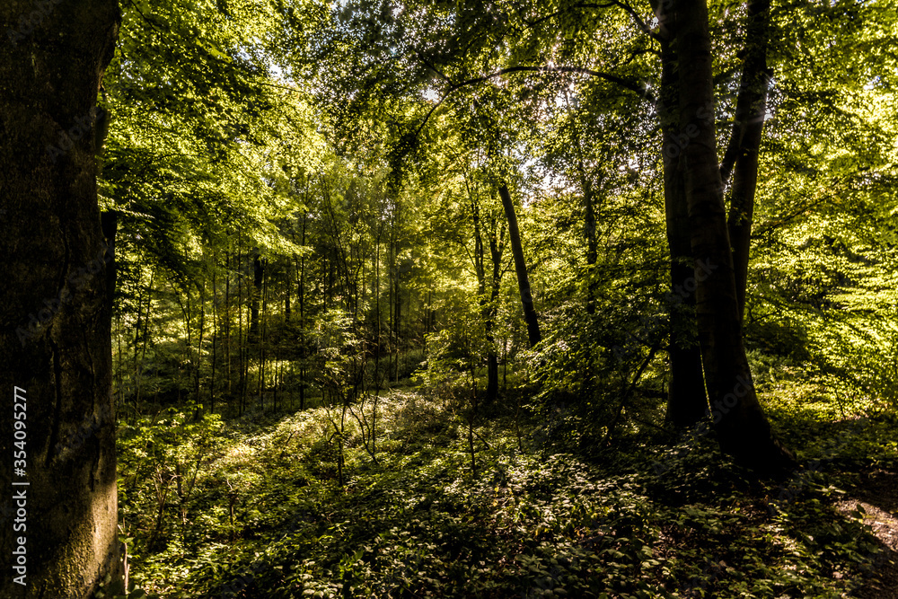 Natur Natur