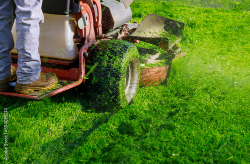 Canvas Print Cutting the grass gardening activity, lawn mower cutting the grass