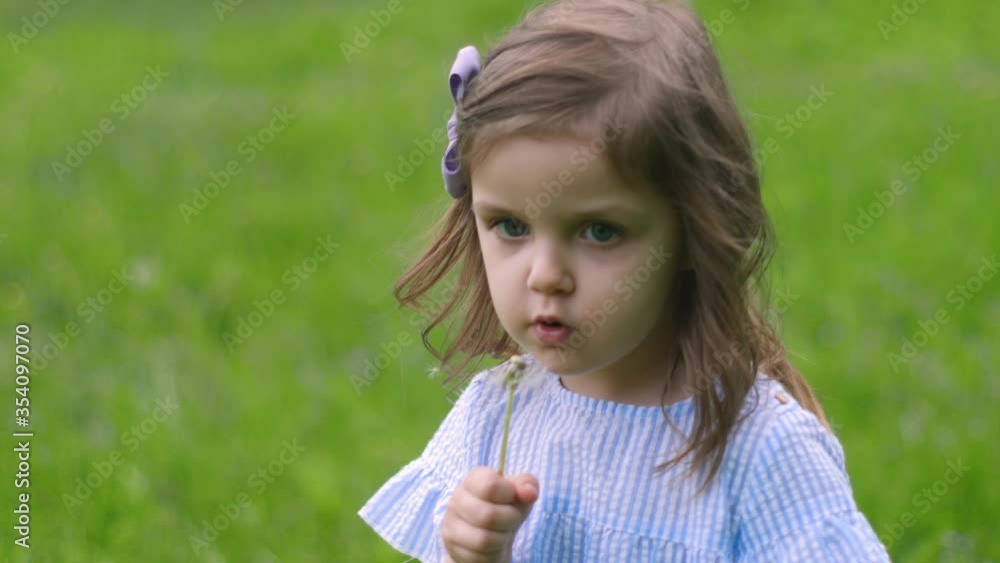 little beautiful girl in a blue dress stands in a green field with grass and holds a white dandelion in spring little beautiful girl in a blue dress stands in a green field with grass and holds a white dandelion in spring