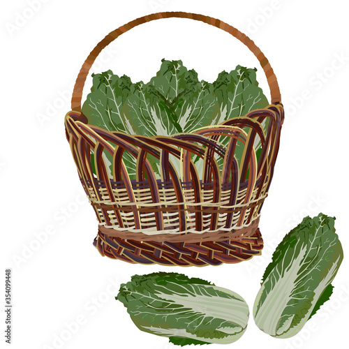 Wicker basket full of fresh chinese napa cabbage, vector illustration