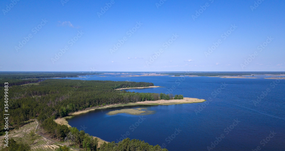 Aerial view of the coniferous forest and lake