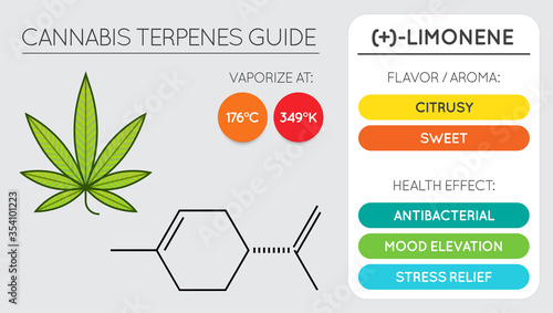 Cannabis Terpene Guide Information Chart. Aroma and Flavor with Health Benefits and Vaporize Temperature. Vector. photo