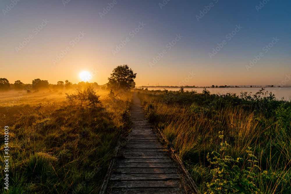 misty morning sunrise in the bog with wooden path misty morning sunrise in the bog with wooden path