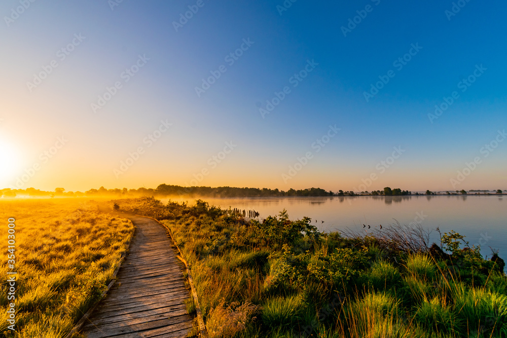 misty morning sunrise in the bog with wooden path