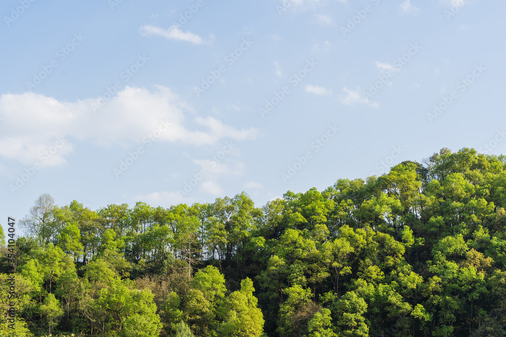 Hills of Nepal, covered with jungle. Landscape with tropical rainforest in bright summer day. Reference image for CG drawing, matte painting. Stock photo. Hills of Nepal, covered with jungle. Landscape with tropical rainforest in bright summer day. Reference image for CG drawing, matte painting. Stock photo.