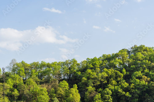 Hills of Nepal  covered with jungle. Landscape with tropical rainforest in bright summer day. Reference image for CG drawing  matte painting. Stock photo.