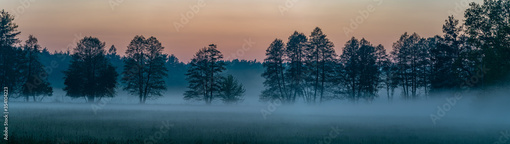 panorama of forest landscape in fog at sunset