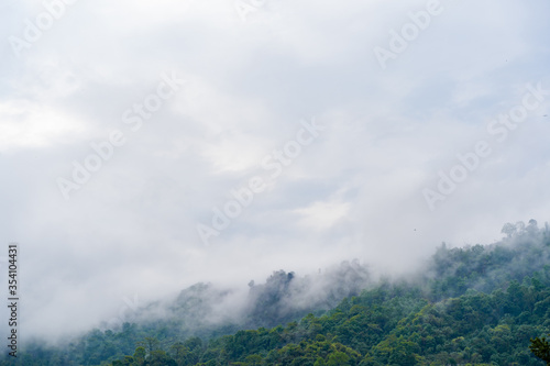 Hills with jungle in Nepal, covered with fog. Landscape with tropical rainforest. Reference image for CG drawing, matte painting. Stock photo.