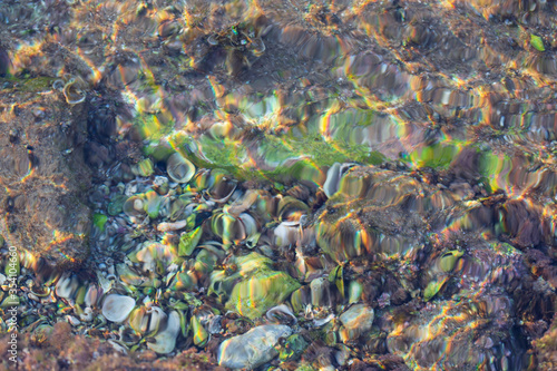 shell underwater on the beach in the Mediterranean Sea. Summertime concept, top view. Travel concept. 