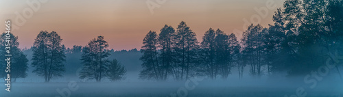 panorama of forest landscape in fog at sunset