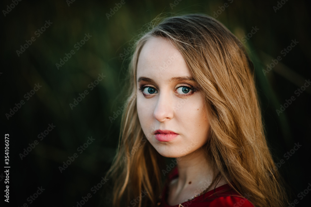 Portrait of a beautiful girl in autumn against the background of the field on the nature. Portrait of a beautiful girl in autumn against the background of the field on the nature.