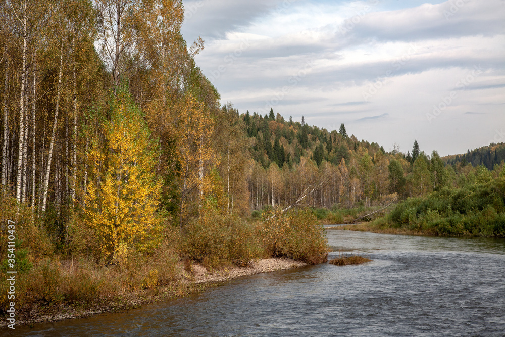 The colors of autumn. Golden autumn on a mountain river in Bashkortostan. White trunks of birches. The colors of autumn. Golden autumn on a mountain river in Bashkortostan. White trunks of birches.