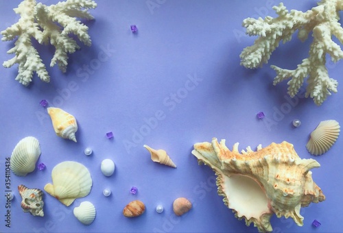 Small and shells and stones at the bottom of the frame, on top of two branches of white coral, scattered around the edges of small purple crystals on a dark purple background and a place for text