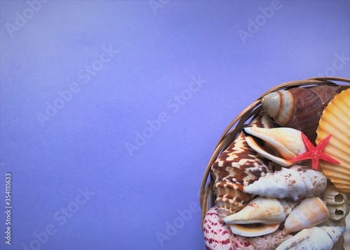 A large variety of sea shells of white, brown, gray, beige, yellow and pink colors and a small bright red starfish lie in a wicker basket on a purple background 
