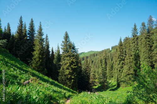 Mountain landscape, mountain landscape in the summer. Green Mountain Pines and spruce in the mountains. Blue sky. The clouds. Trekking route in the mountains. Traveling in the mountains. 