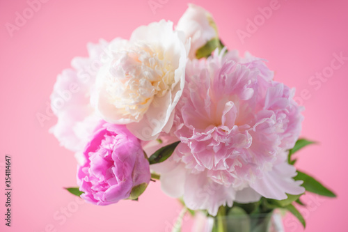 Pink peonies close up on pink background. Elegant bouquet  beautiful flowers for any holiday.