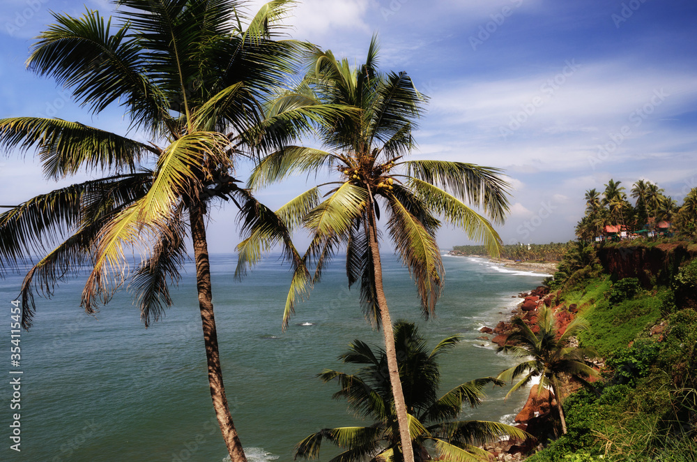 juicy green palm trees on the background of the sea and coast, Varkala, India