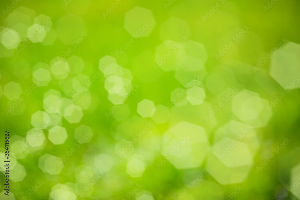 Defocused blurred nature green background with soft bokeh lights. Abstract natural texture background. Defocused blurred nature green background with soft bokeh lights. Abstract natural texture background.