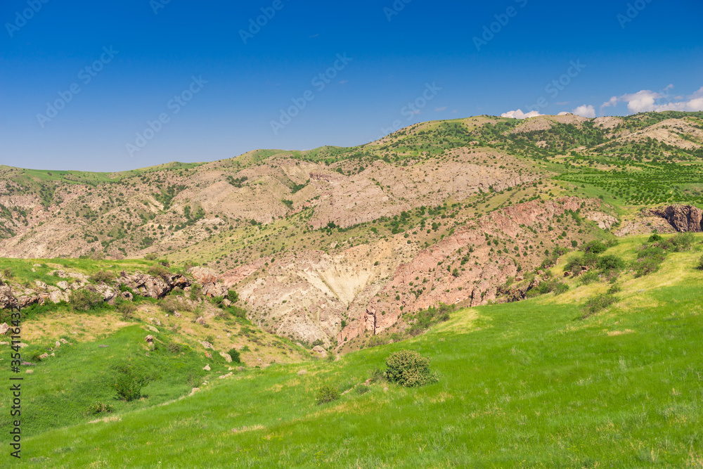 Sunny day, mountain landscape with green grass in Armenia