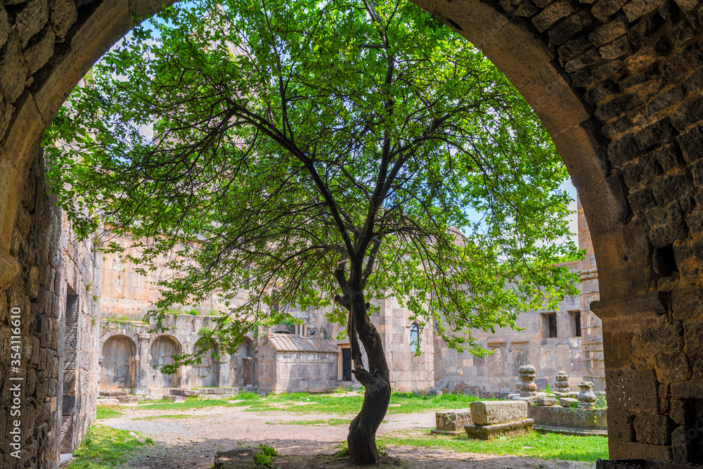 Tree growing in the territory of Tatev Monastery, a tourist attraction of Armenia