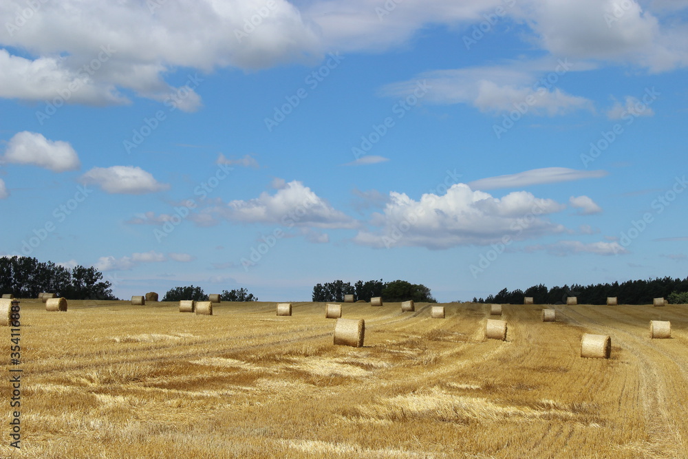 Feld mit runden Strohballen nach der Getreideernte