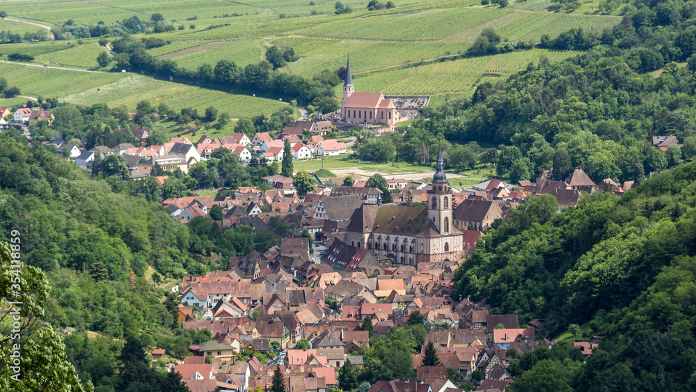 Landscape in  Andlau in France