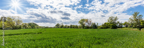 landscape of green field and blue sky © agrus