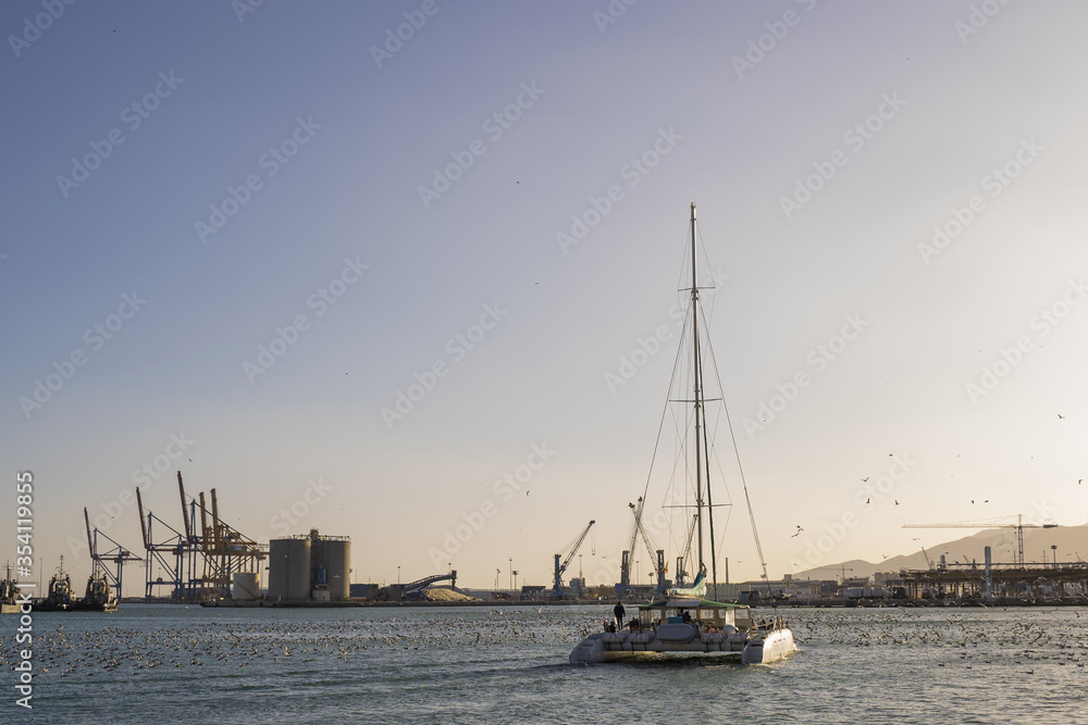 Catamaran sails away near a port and a flock of seagulls flying