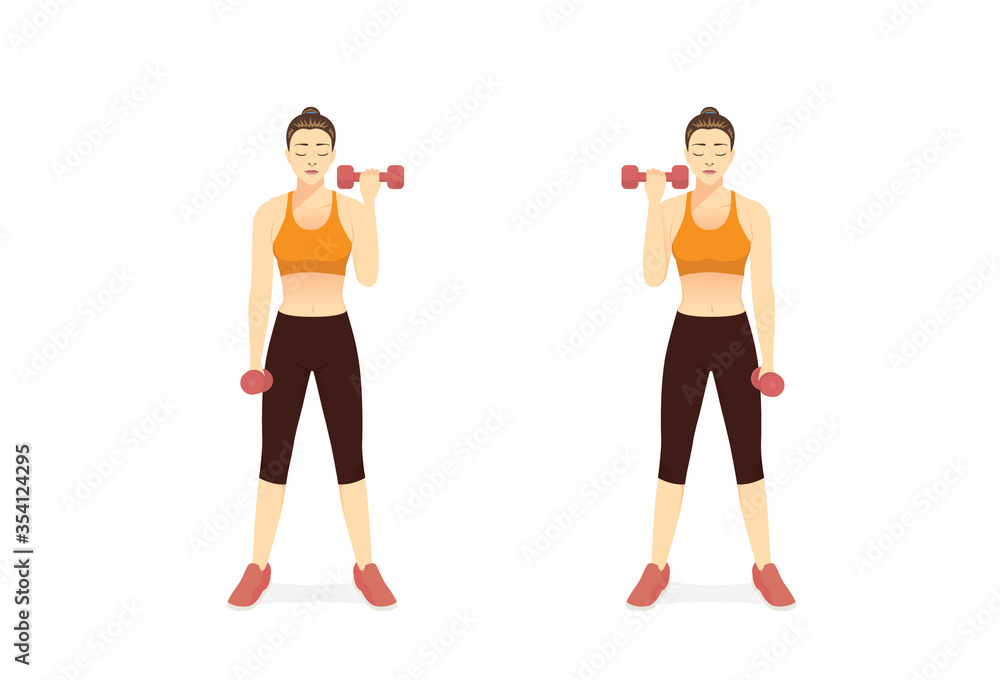Vecteur Stock Sport Women doing Fitness with the dumbbell curl in left and  right arm. Illustration about Build Muscle and Boost metabolism with  Weighted Workout. target to bicep muscles. | Adobe Stock