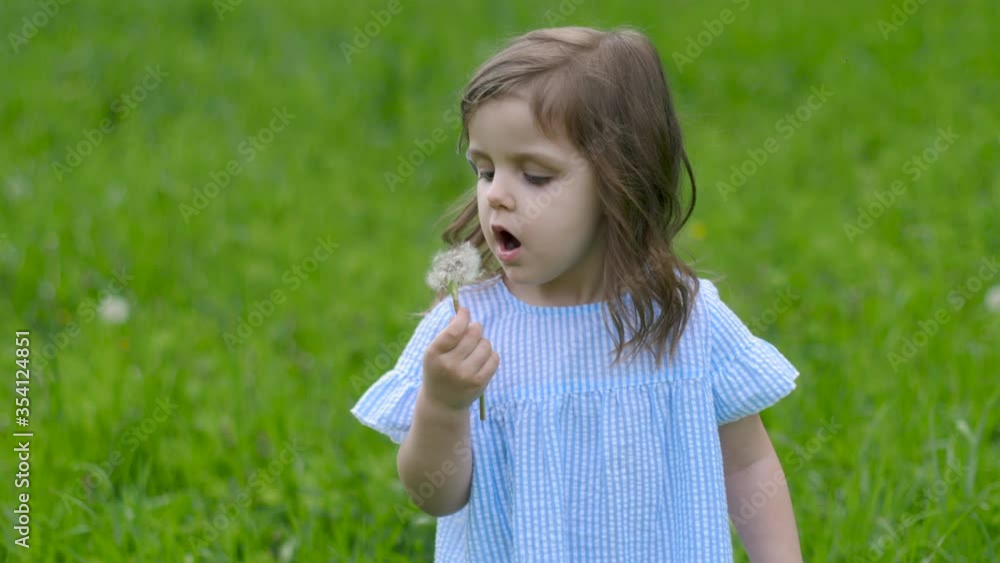 little beautiful girl in a blue dress stands in a green field with grass and holds a white dandelion in spring little beautiful girl in a blue dress stands in a green field with grass and holds a white dandelion in spring