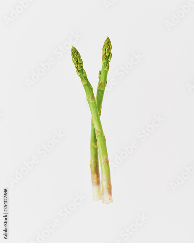 fresh asparagus on the white background
