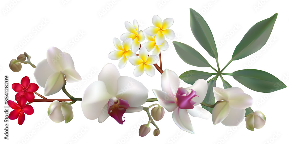 Fototapeta premium Tropical flowers. Orchids. Floral background. Green leaves. Plumeria Frangipani. Exotic plants. Pattern. Red. White.