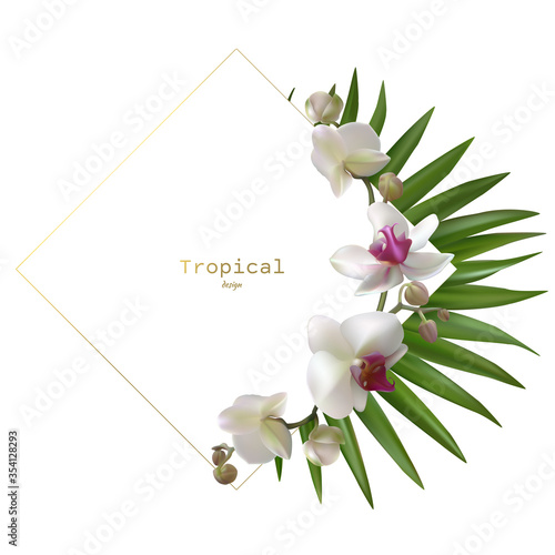Tropical flowers. Orchids. Floral background. Palm leaves. Exotic plants. Pattern. Petals. White.