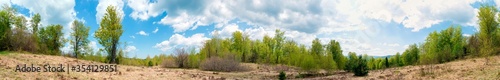 Wallpaper Mural Beautiful rural summer landscape with forest, blue sky and white clouds, panorama. spring landscape with panoramic views of meadow and mountains Torontodigital.ca