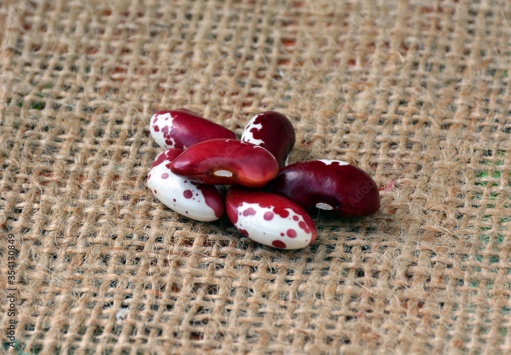 Beans close-up. Healthy food, bean.