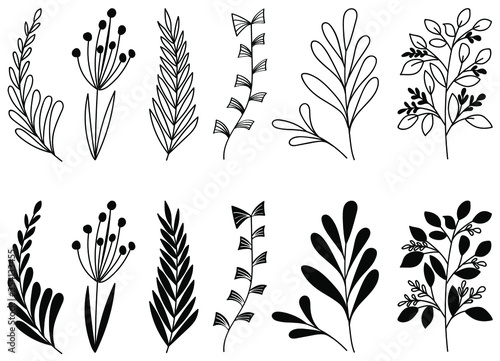 Hand drawn vector floral elements  leaves  flowers  branches . Botanical illustration. Suitable for wedding invitations  greeting cards  quotes  blogs  frames.