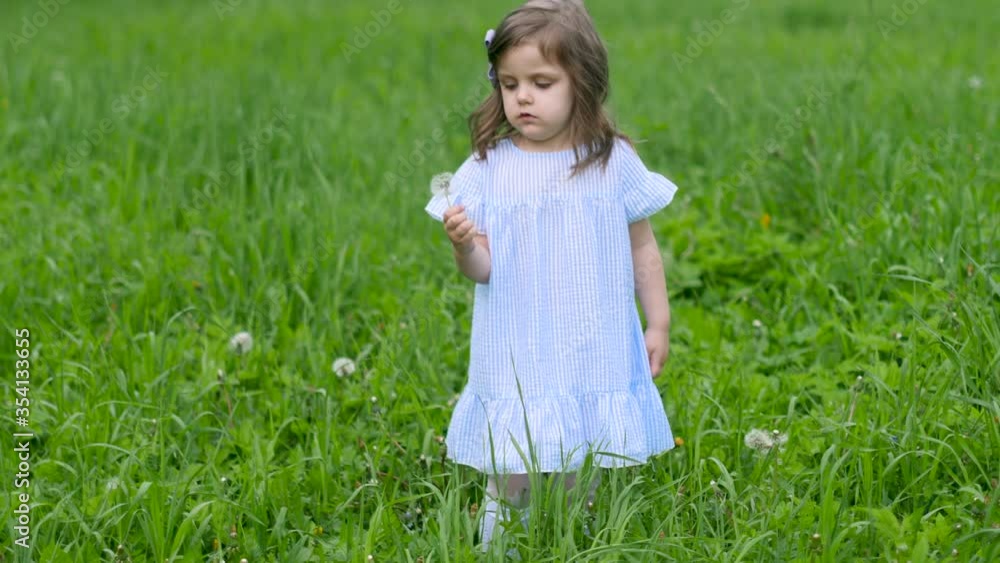 little beautiful girl in a blue dress stands in a green field with grass and holds a white dandelion in spring little beautiful girl in a blue dress stands in a green field with grass and holds a white dandelion in spring