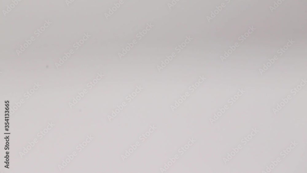 Cocinando y preparando alimentos para una comida deliciosa