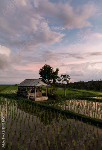 Jatiluwih rice terraces in Bali at sunrise, Indonesia