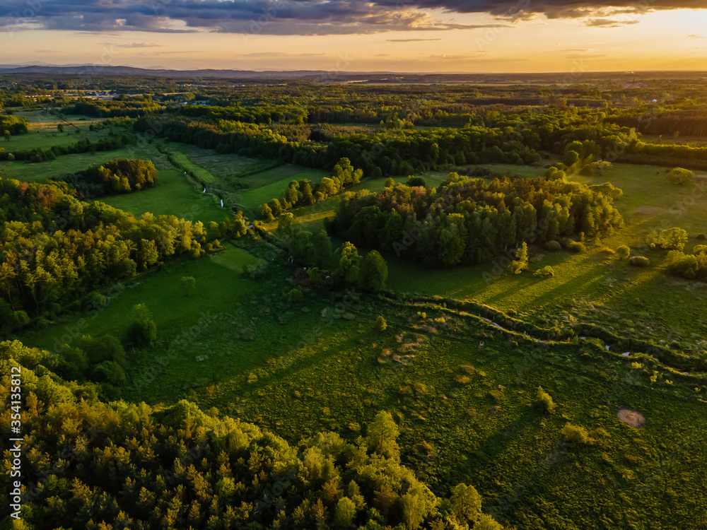 Naklejka premium aerial view of a forest