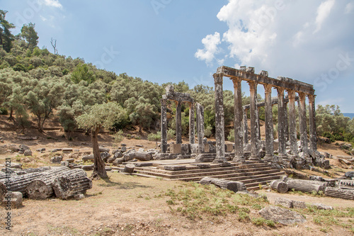 Temple of Zeus in Euromos, Milas, Bodrum, Turkey.