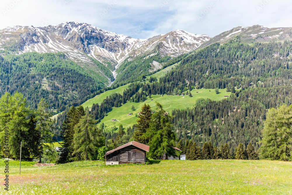 Old log stable on the alpine meadows covered in green grass and colorful flowers in Switzerland during spring