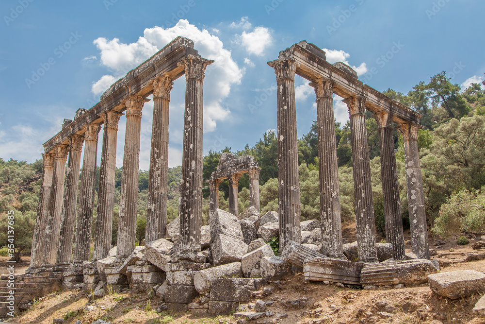 Temple of Zeus in Euromos, Milas, Bodrum, Turkey.